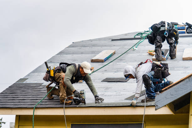 Professional Gutter Installation technician working in Wasco, IL